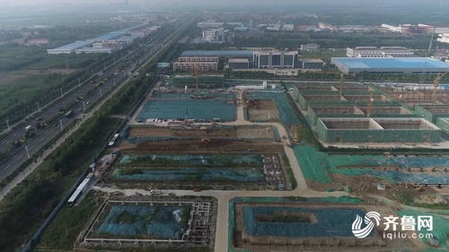 庆云 农产品 食品 加工产业园项目加速推进 60余名服务专员全程服务